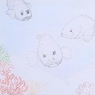 Mérou 3, feutres et crayons de couleurs, 20x20cm, 2026